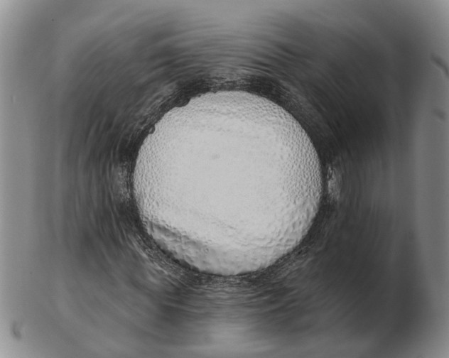 X0000103170819200809121859