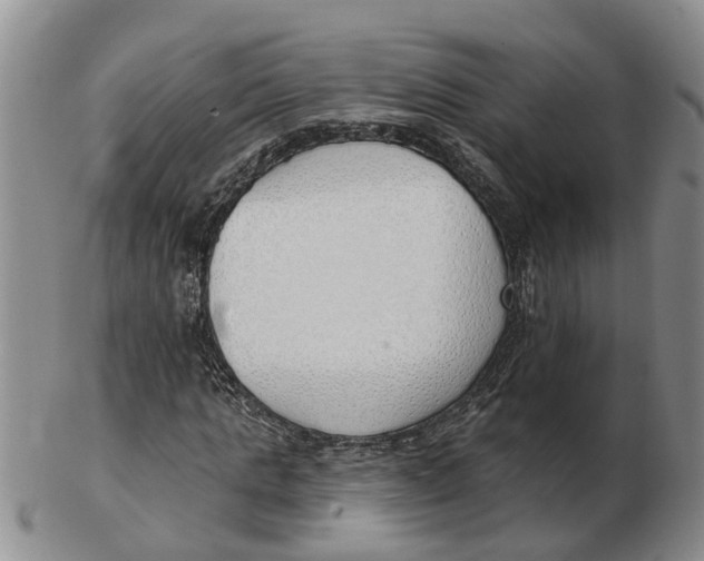 X0000103170821200809121859