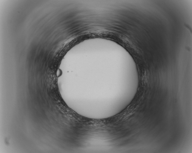 X0000103170822200809121859