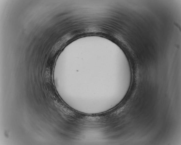 X0000103170825200809121859