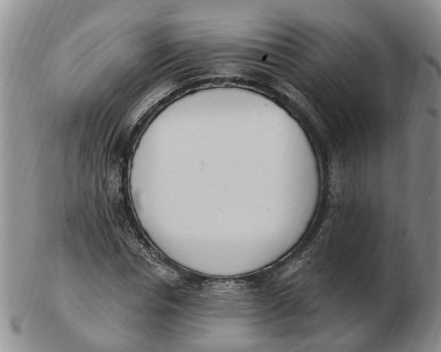 X0000103170826200809121859