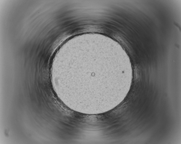 X0000103170828200809121859