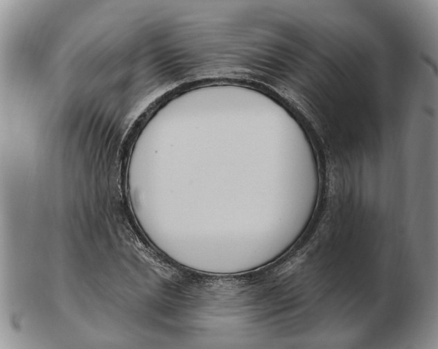 X0000103170830200809121859