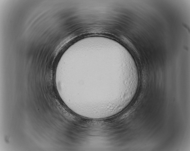 X0000103170831200809121859