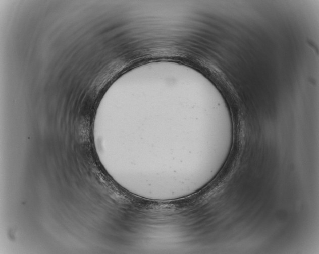 X0000103170833200809121859