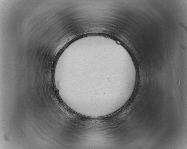 X0000103170834200809121859