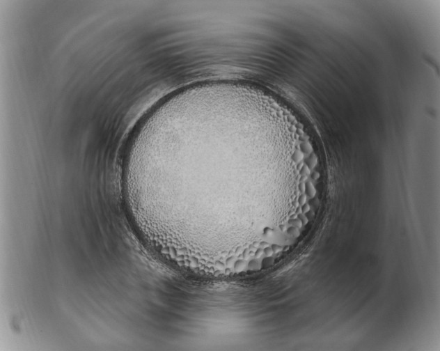 X0000103170835200809121859