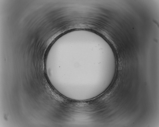 X0000103170837200809121859