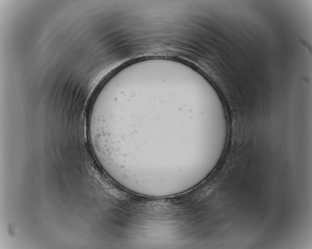 X0000103170838200809121859