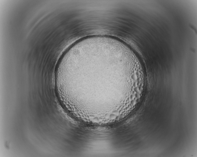 X0000103170839200809121859