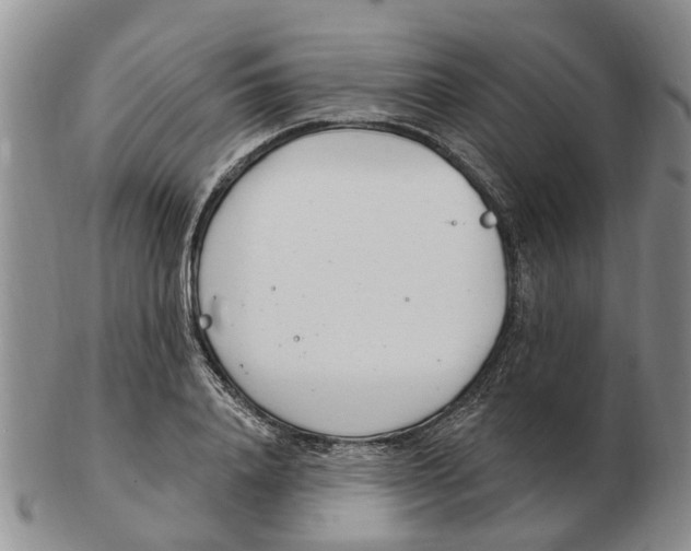 X0000103170840200809121859