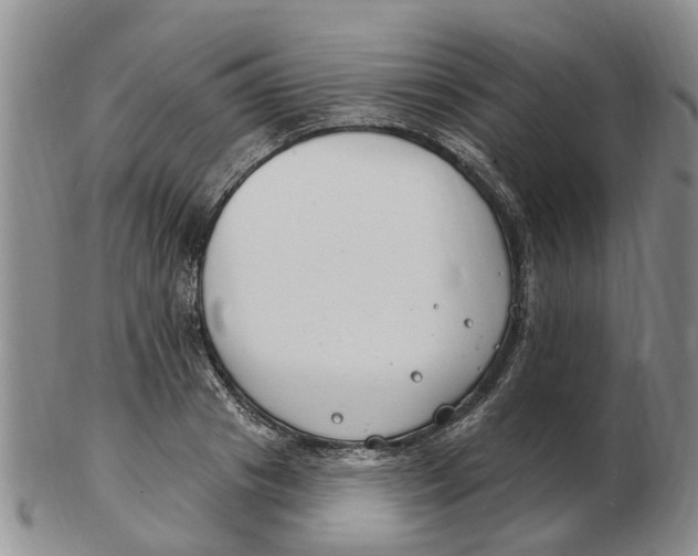 X0000103170841200809121859