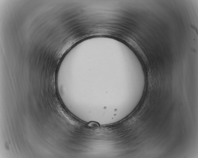 X0000103170842200809121859