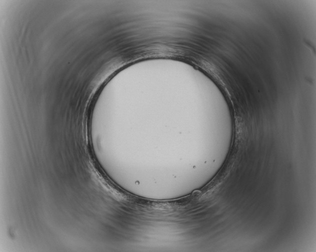 X0000103170843200809121859