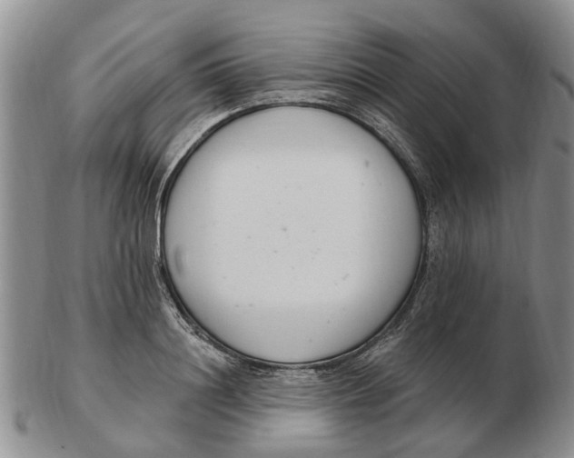 X0000103170844200809121859