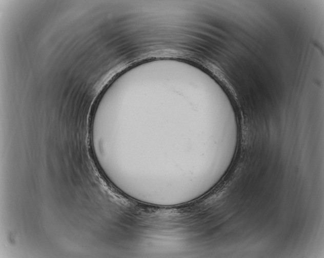 X0000103170845200809121859