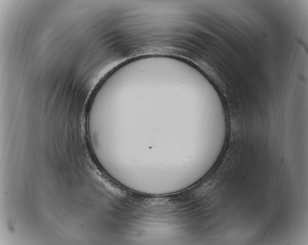 X0000103170846200809121859