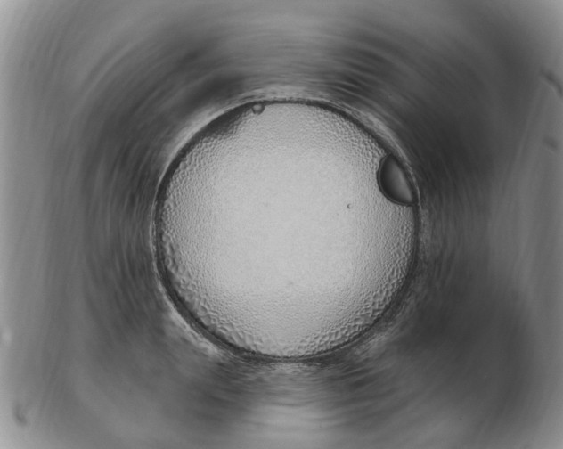 X0000103170847200809121859