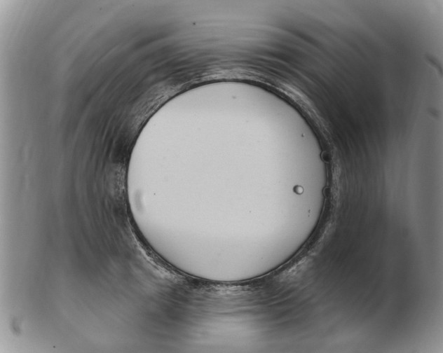 X0000103170849200809121859