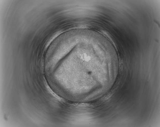 X0000103170851200809121859