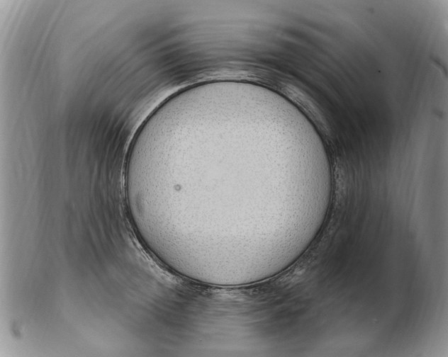 X0000103170852200809121859