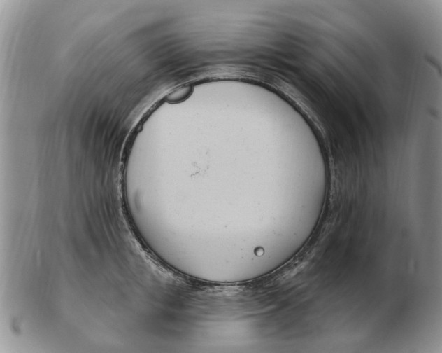 X0000103170853200809121859