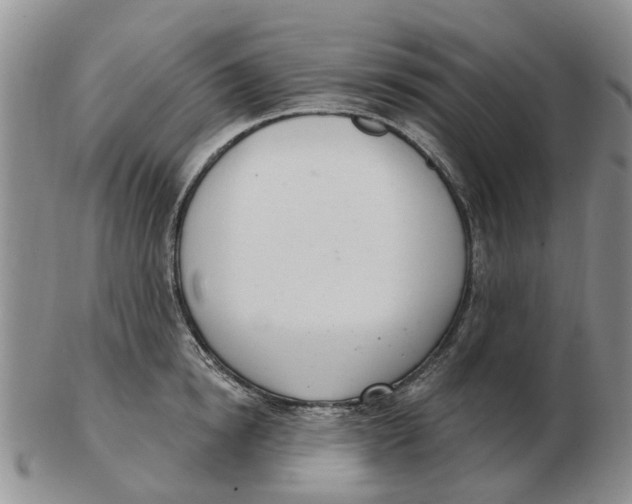 X0000103170854200809121859