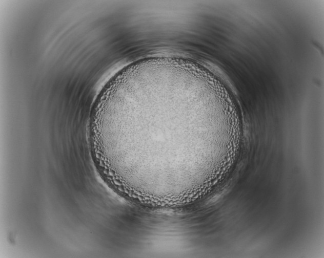 X0000103170855200809121859