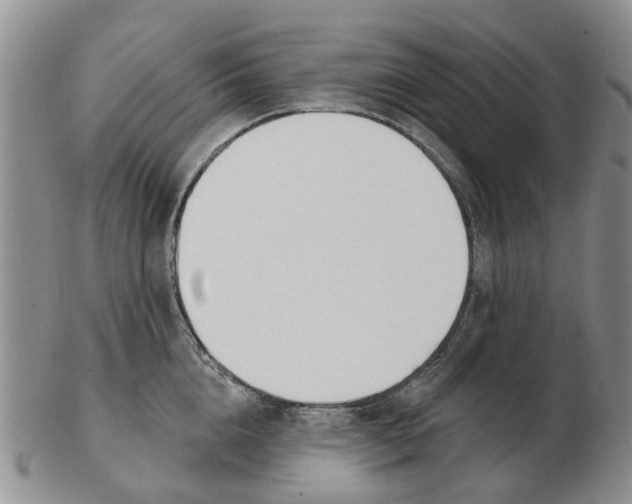 X0000103170856200809121859