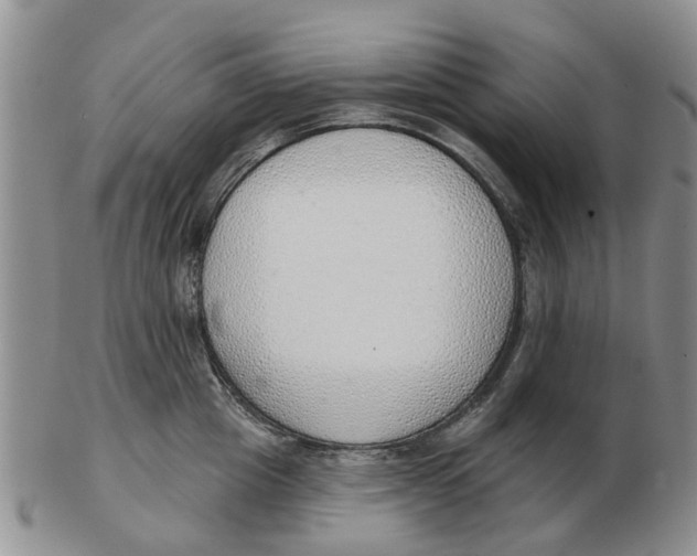 X0000103170857200809121859