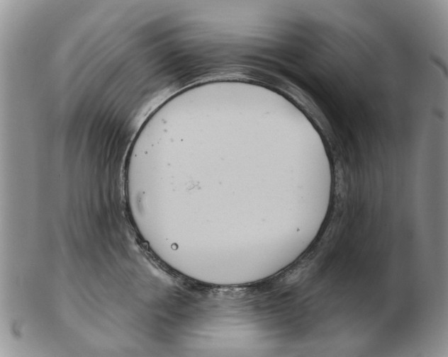 X0000103170858200809121859