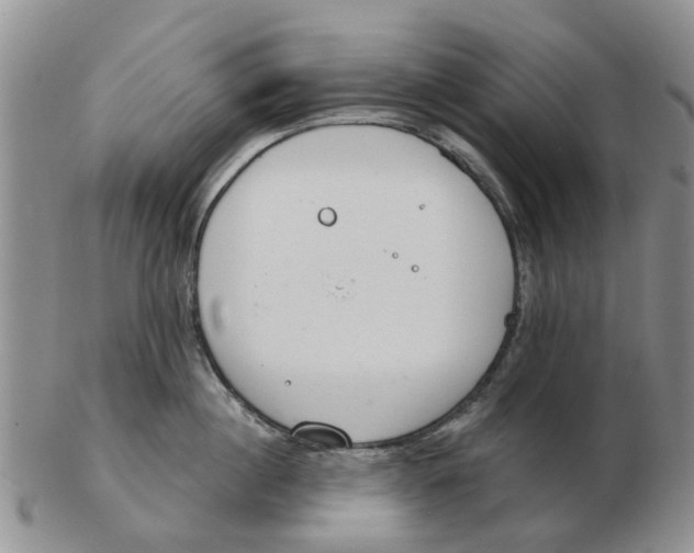 X0000103170860200809121859