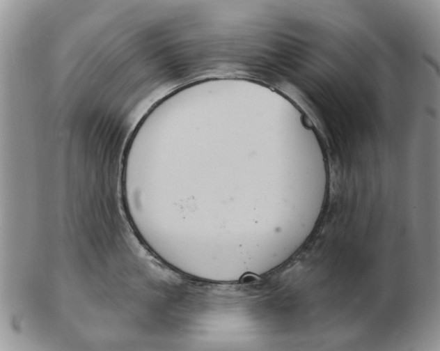 X0000103170861200809121859