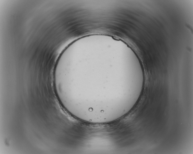 X0000103170862200809121859