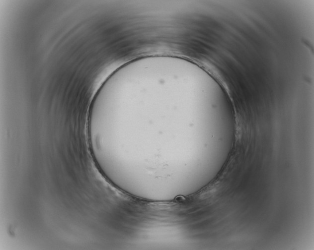 X0000103170863200809121859