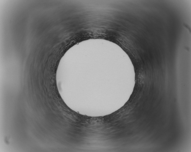 X0000103170865200809121859