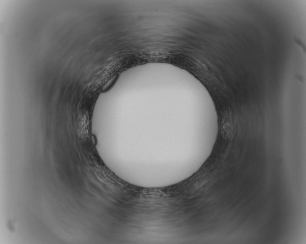 X0000103170866200809121859