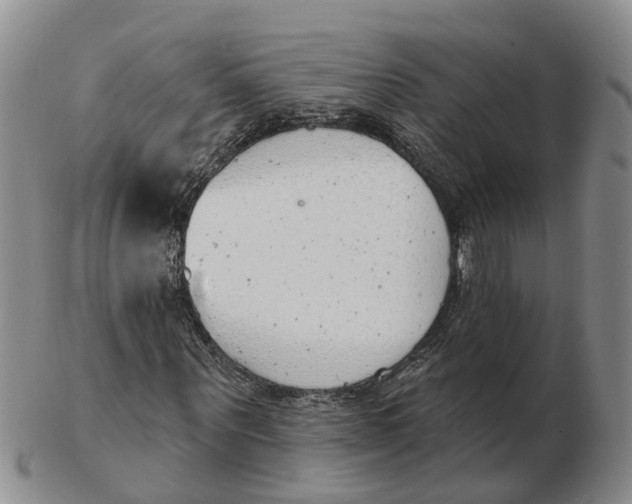 X0000103170867200809121859