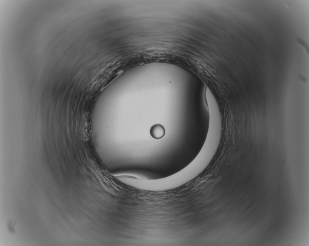 X0000103170868200809121859