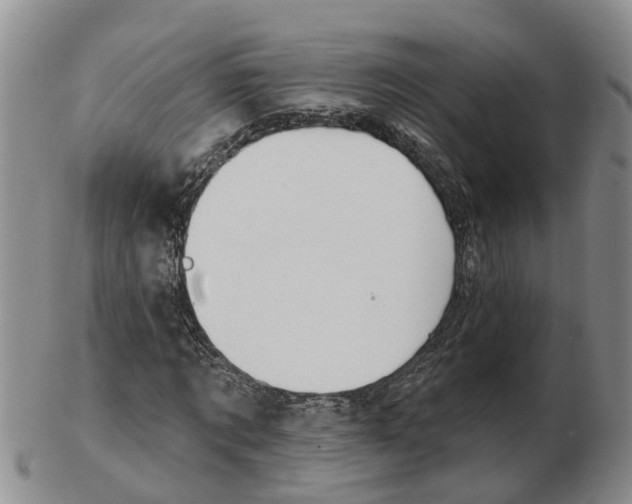 X0000103170869200809121859