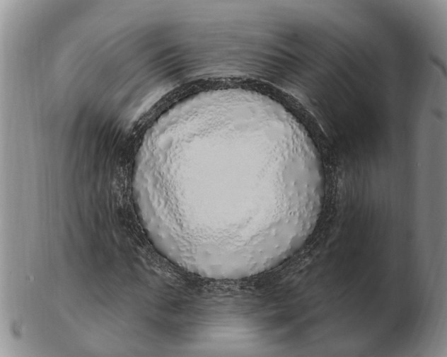 X0000103170871200809121859