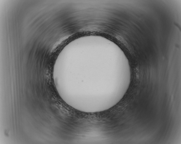 X0000103170872200809121859