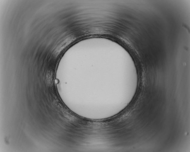 X0000103170873200809121858