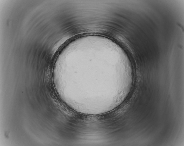 X0000103170875200809121858