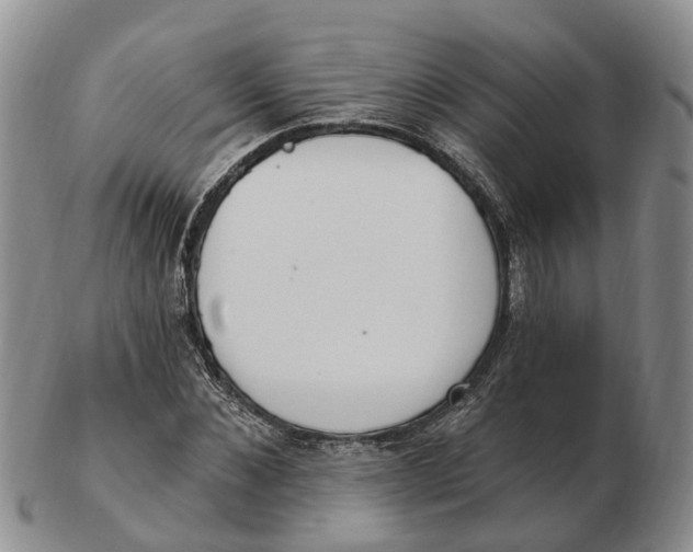 X0000103170876200809121858