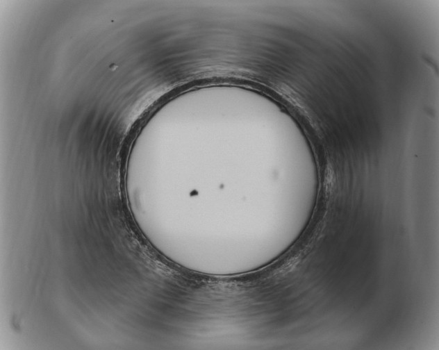 X0000103170877200809121858