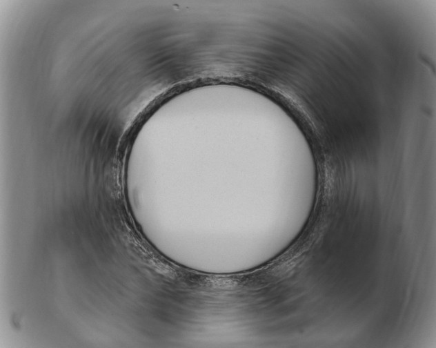 X0000103170878200809121858