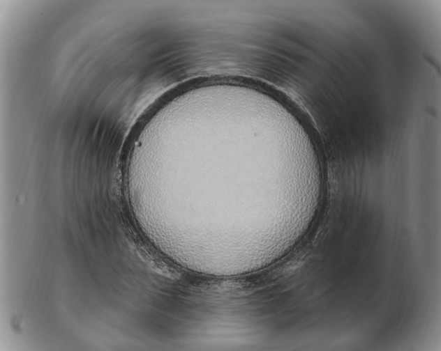 X0000103170879200809121858