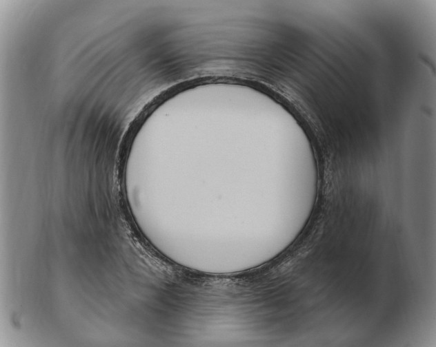 X0000103170880200809121858