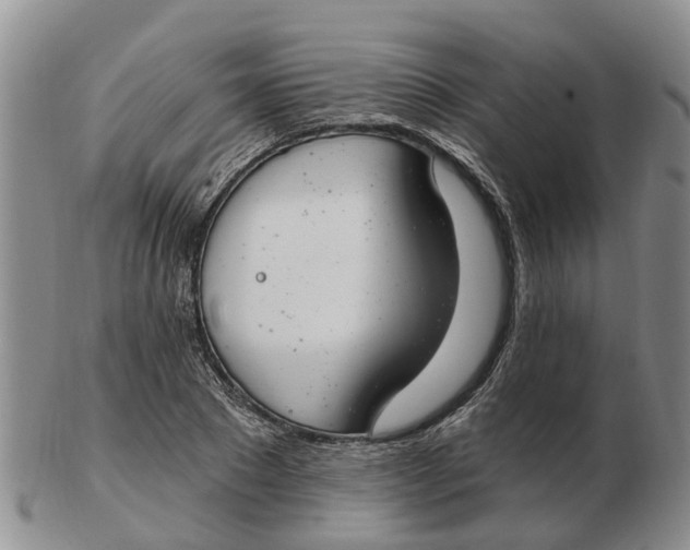 X0000103170881200809121858